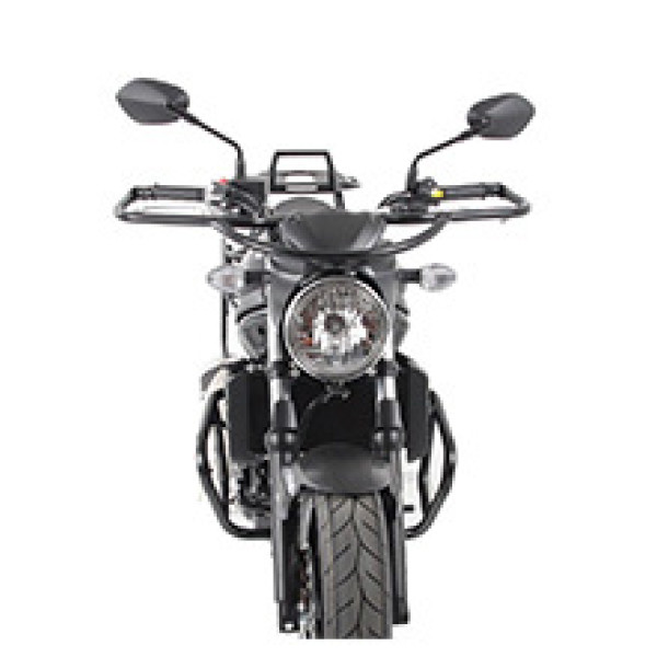 Захист ручок Hepco&Becker для Suzuki SV 650 ABS 16-
