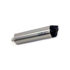 Глушник Arrow BMW F 650 GS 08-12, BMW F 800 GS / Adventure 08-18 Maxi Race-Tech, Titanium + Carbon