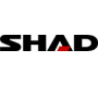 Shad