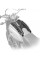 Адаптер для сумок US-Drypack Kriega