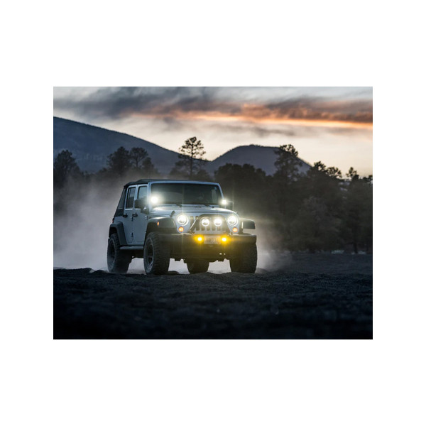 Передні ліхтарі Denali D4 з технологією DataDim™ (2 шт.)