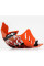 Плита під двигун AXP Racing KTM 450EXCF/500EXCF/500XCFW (17-23)