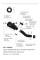 Вихлопна система LeoVince LV-10 Full Black Ducati Scrambler 800 Icon/ Icon Dark/ Night Shift/ Urban Motard (21-22) чорний нержавіюча сталь