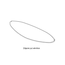 Pinlock 120 до Schuberth C5/S3/E2