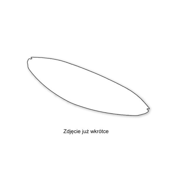 Pinlock 120 до Schuberth C5/S3/E2