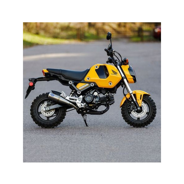 Глушник мотоцикловий S&S Cycle Grand National для Honda MSX 125 Grom (22')