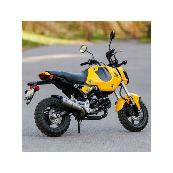 Глушник мотоцикловий S&S Cycle Grand National для Honda MSX 125 Grom (22')
