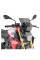 Мотоциклетний щиток GIVI для BMW F 900 R (20-) затемнений креплення в комплекті