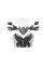Прозора мотоциклетна вітрове скло L Touratech Ducati Multistrada 1200 (15-18)/ 950