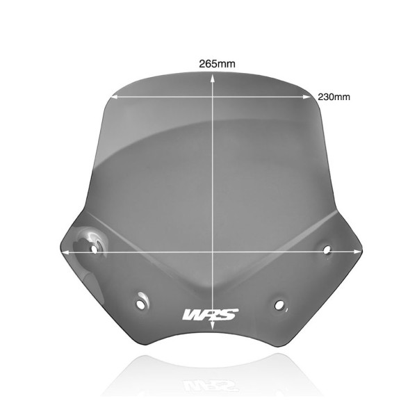 Мотоциклетний щиток WRS Sport для BMW R 1200 R (06-14) сильно затемнений