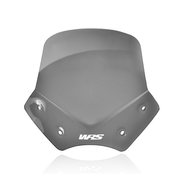 Мотоциклетний щиток WRS Sport для BMW R 1200 R (06-14) сильно затемнений
