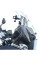 Мотоциклетний екран WRS Rallye Evo BMW R 1200 GS/ Adventure (04-12) прозорий