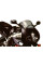Мотоциклетний щиток MRA Racing 