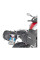 Кронштейн для бічних сумок GIVI Easylock BMW F 900 R/ XR (20-)