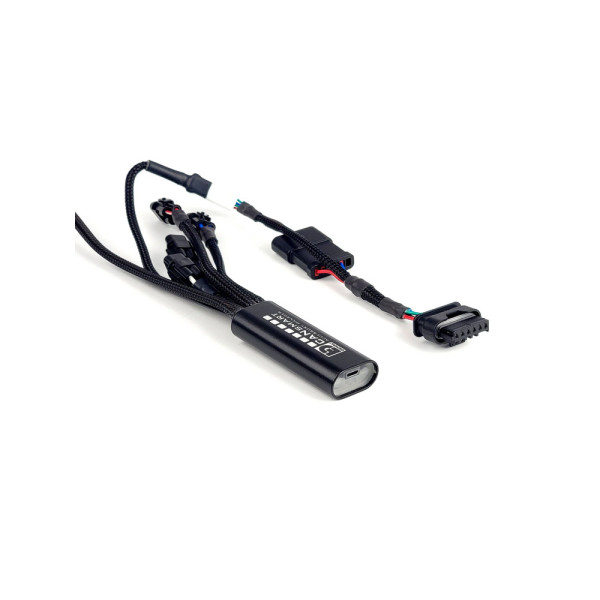 Контролер Denali Cansmart Gen II BMW R1300GS (24-)