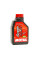 Motul Scooter Expert 2T 1l