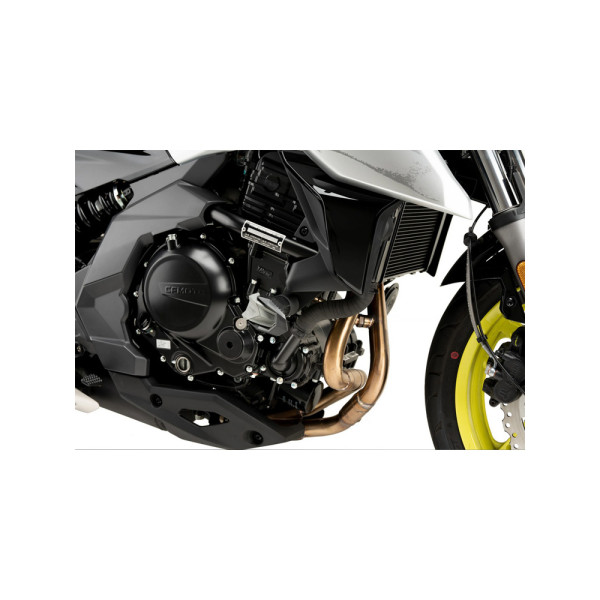 Краш-пади мотоциклові PUIG R19 CF Moto 650 NK (21-)