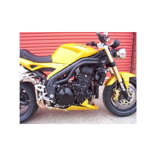 Краш-пади R&G для Triumph Speed Triple (97-07) (передні)