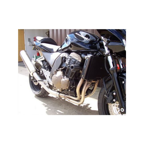 Краш-пади R&G для Kawasaki Z1000 (03-06) / Z750 (04-06) / Z750S (04-06)