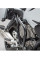 Гмоли SW-Motech для BMW S 1000 XR K10 (K49) (15-19)
