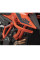 Гмоли SW-MOTECH для KTM 1290 Super Duke R (19-) помаранчеві