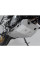 Захист двигуна SW-MOTECH BMW F 750 GS (20-)/ 800 GS (24-)/ 850 GS (20-) сріблястий