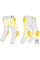 Джинси мотоциклетні жіночі Mottowear Hiro Light