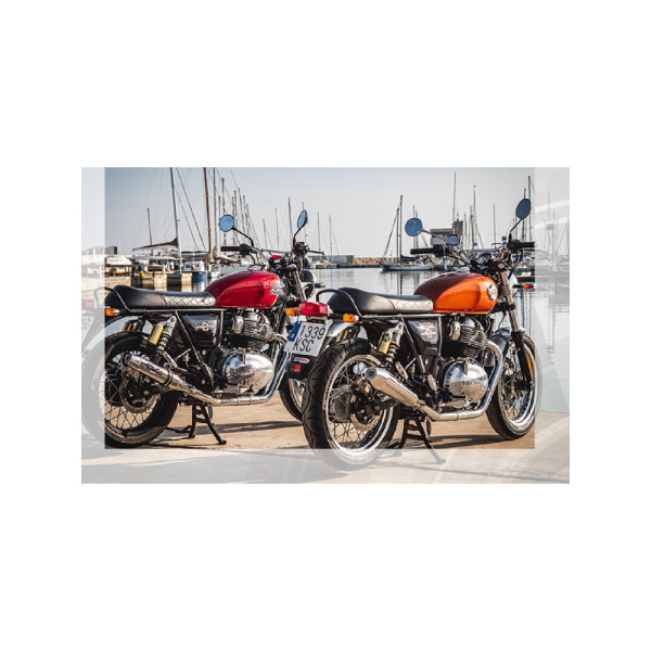 Глушник G.P.R Ultracone Bronze Cafè Racer Нержавіюча сталь - Honda Transalp XL 650 V 00-06