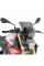 Мотоциклетний щиток Kappa для BMW F 900 R (20-) затемнений