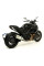 Глушник Arrow Ducati Diavel 11-16, Multistrada 1200 / S 10-14, Monster 1200 14-15, Monster 821 14-17 Race-Tech, Алюміній + вуглецеве волокно