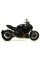Глушник Arrow Ducati Diavel 11-16, Multistrada 1200 / S 10-14, Monster 1200 14-15, Monster 821 14-17 Race-Tech, Carbon