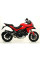 Глушник Arrow Ducati Diavel 11-16, Multistrada 1200 / S 10-14, Monster 1200 14-15, Monster 821 14-17 Race-Tech, Темний алюміній + вуглецеве волокно
