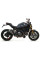 Термозахисний щит Arrow Carbon - Ducati Monster 1200 / S / R 16-20