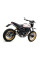 Глушник Arrow - Ducati Scrambler 800 Desert Sled 17-20 Pro-Race, Titanium