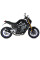 Повний вихлопний комплект (Delta Race Carbon) MIVV для Yamaha MT-09 (21-)