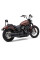 Вихлопна система Cobra Neighbor Hater Slip-On для моделей Harley Davidson Softail Deluxe, Softail Heritage Classic, чорна