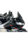 Мотоциклетний щиток WRS Sport Aprilia Tuono 660 / V4 (21-24) сильно затемнений