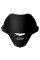 Мотоциклетний екран WRS Sport Aprilia Tuono 660 / V4 (21-24) чорний матовий