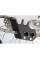 Захист ланцюга AXP Racing Honda CRF250L (13-24), CRF300L, CRF300L RALLY (21-24) чорний