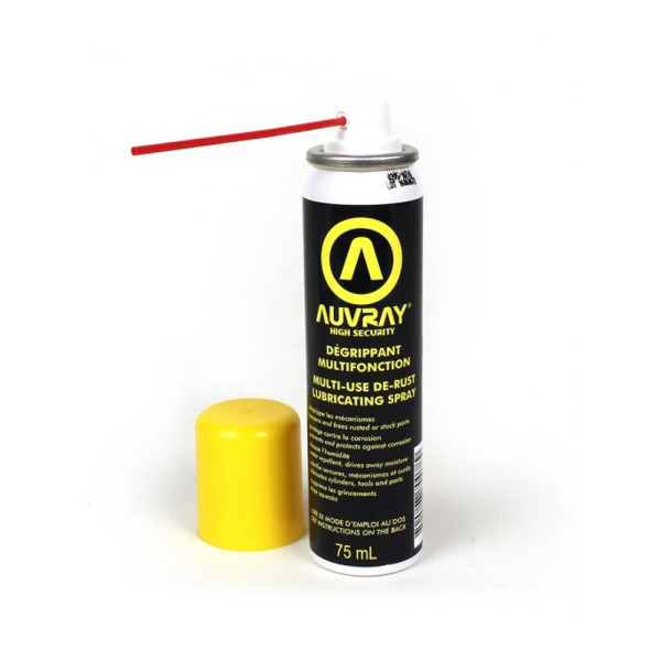 Універсальний засіб для видалення іржі в спреї Auvray 75 мл
