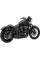 Вихлопна система El Diablo 2-into-1 Cobra Harley Davidson Sportster Iron 883 / Sportster Roadster 1200 / Sportster 1200 Custom / Sportster Superlow