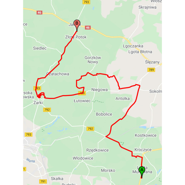 Система моніторингу GPS мотоцикла LionLOG