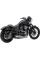 Вихлопна система El Diablo 2-into-1 Cobra Harley Davidson Sportster Iron 883 / Sportster Roadster 883 / Sportster 1200 Custom / Sportster Superlow / Sportster Seventy-Two